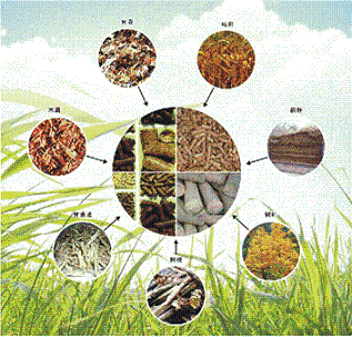 張大勇：生物質能工程更是環保與民生工程