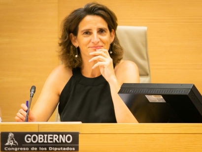 今年年底之前將制定一部關于氣候變化和能源轉(zhuǎn)型的法律