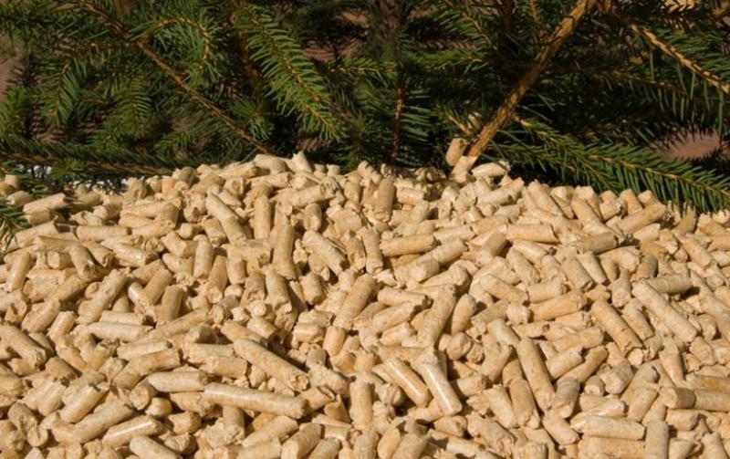 住友重機(jī)工業(yè)有限公司(SHI)在日本，韓國獲得生物質(zhì)項(xiàng)目