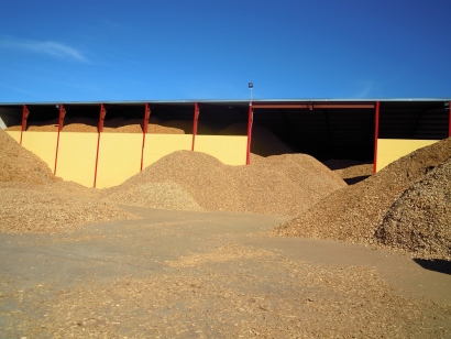 電生物質(zhì)長(zhǎng)達(dá)兩萬(wàn)八千