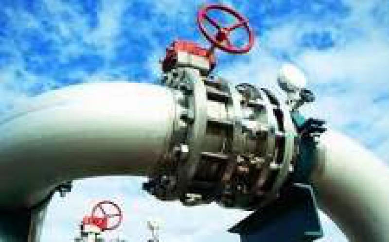 埃及石油部長(zhǎng)埃爾瓦坦說(shuō)，埃及將從1月開(kāi)始出口天然氣