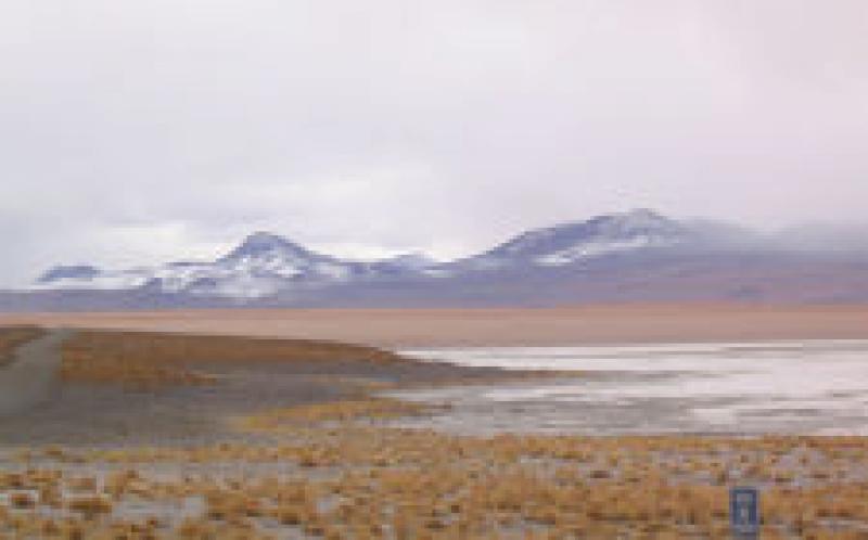 RFP：技術協調地熱開發，Laguna Colorada，玻利維亞