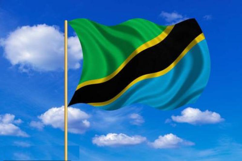 坦桑尼亞能源概況：生物質能