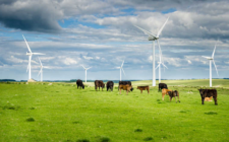 英國達(dá)到了風(fēng)能里程碑：20GW的裝機(jī)容量和三分之一的能源組合