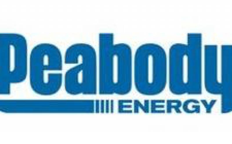 聯(lián)邦委員會贊成煤炭而非石油開發(fā)