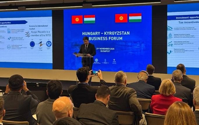 匈牙利與吉爾吉斯斯坦簽署300兆瓦太陽能發(fā)電項目合作協(xié)議