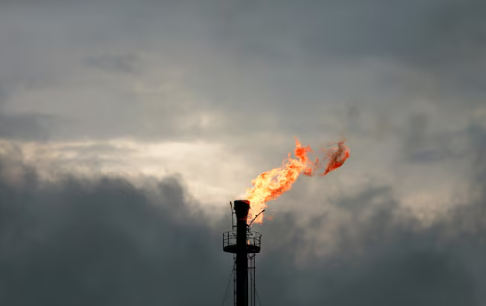 尼日利亞頒發(fā)天然氣燃燒項(xiàng)目許可證