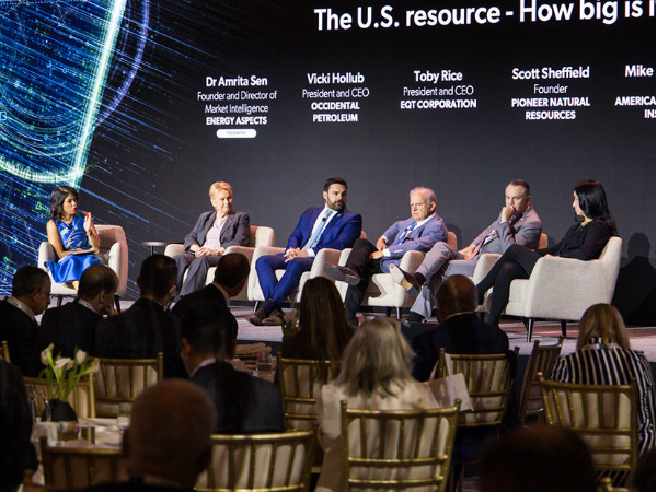 勞拉·斯韋特呼吁推進(jìn)能源許可改革，禁止州否決天然氣管道許可